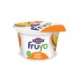 FAGE YOG.FRUYO 0% GR170 MANGO