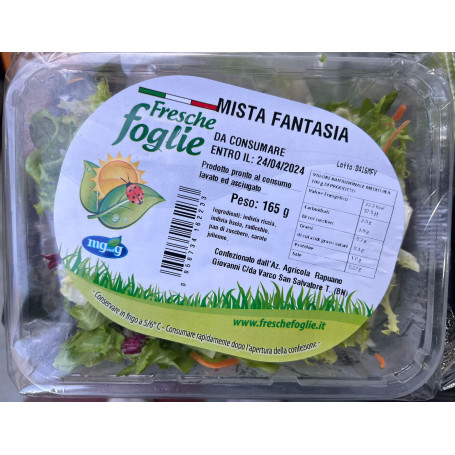FRESCHE FOGLIE MISTA FANTASIA GR 165