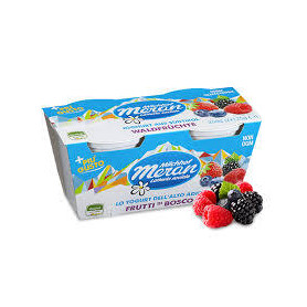 MERANO YOGURT 125 X 2 FRUTTI DI BOSCO