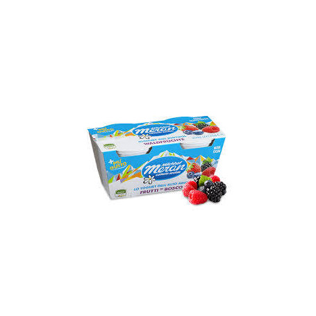MERANO YOGURT 125 X 2 FRUTTI DI BOSCO