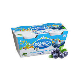 MERANO YOGURT 125 X 2 MIRTILLI