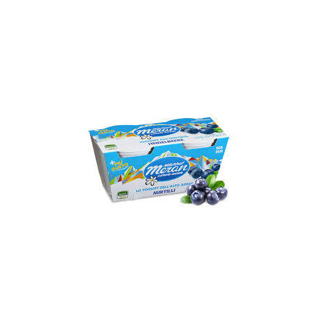 MERANO YOGURT 125 X 2 MIRTILLI