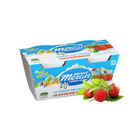 MERANO YOGURT 125 X 2 FRAGOLINE DI BOSCO