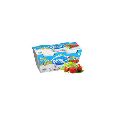 MERANO YOGURT 125 X 2 FRAGOLINE DI BOSCO