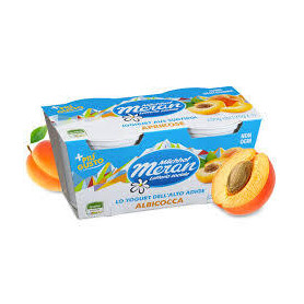 MERANO YOGURT 125 X 2 ALBICOCCA