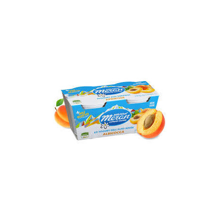 MERANO YOGURT 125 X 2 ALBICOCCA