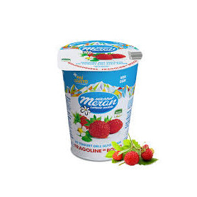 MERANO YOGURT 400 GR FRAGOLINE DI BOSCO
