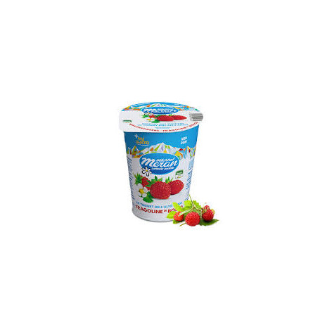 MERANO YOGURT 400 GR FRAGOLINE DI BOSCO