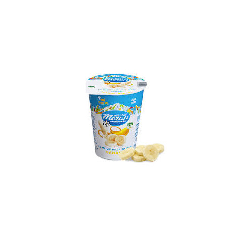 MERANO YOGURT 400 GR BANANA