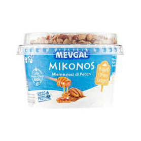 MEVGAL MIX MIELE E NOCI GR 160