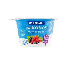 MEVGAL YOGURT FRUTTI DI BOSCO GR 150