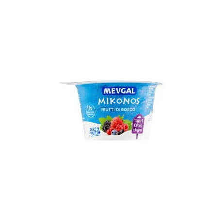 MEVGAL YOGURT FRUTTI DI BOSCO GR 150
