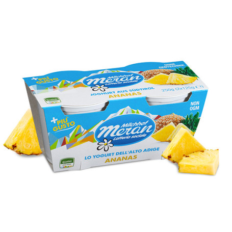 MERANO YOGURT 125 G X 2 ANANAS