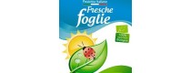 Fresche Foglie